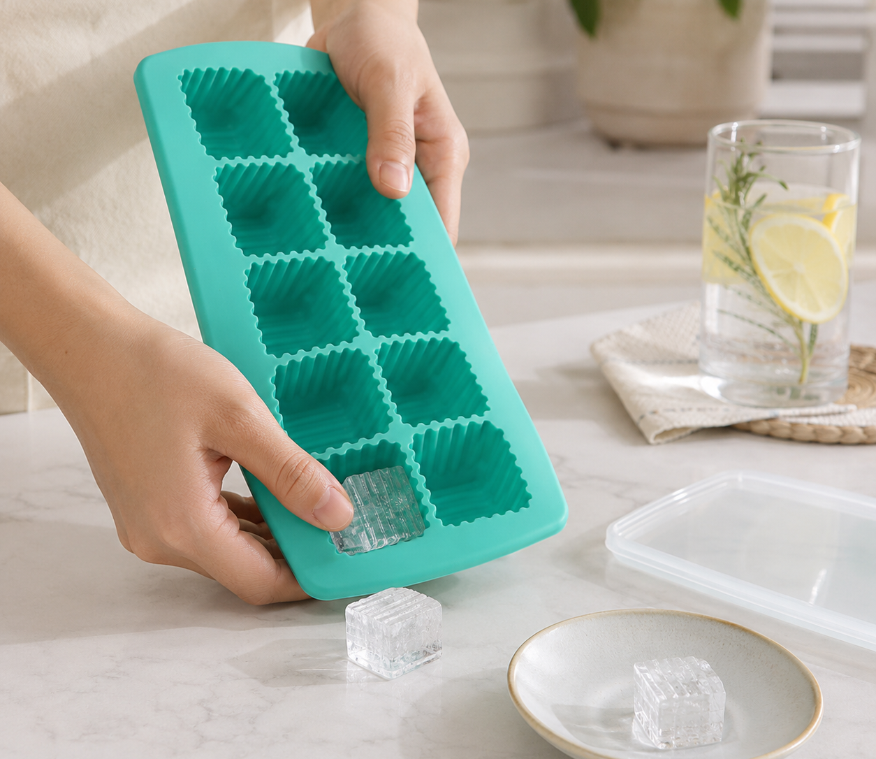 T64541 10 hole striped ice cube tray with cover (2)